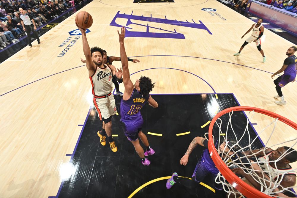 看到了一些 看到了一些